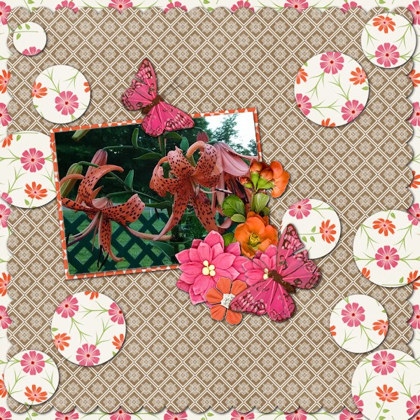 Tiger Lily