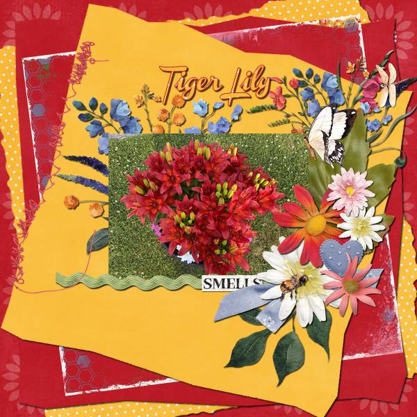 Tiger Lily