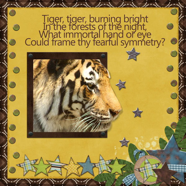 Tiger, Tiger