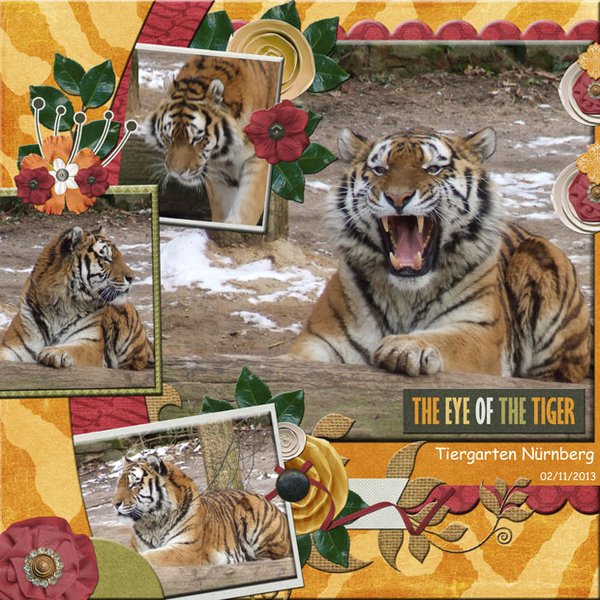 tiger