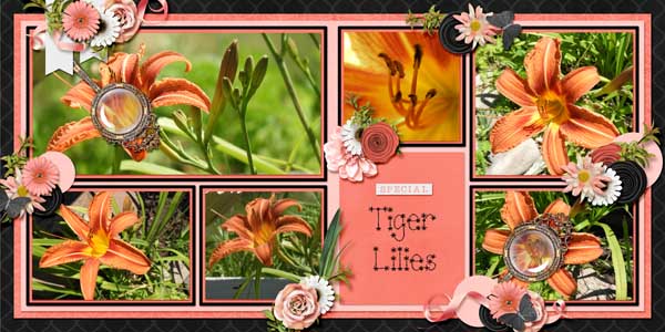 tiger_lilies-2_page_template_and_coral_candy1