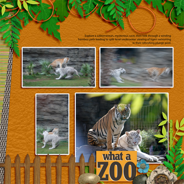 Tigers- Busch Gardens-R