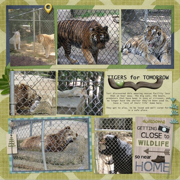 Tigers for Tomorrow