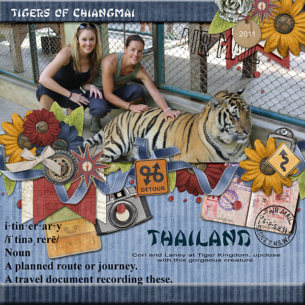 Tigers of Chiangmai