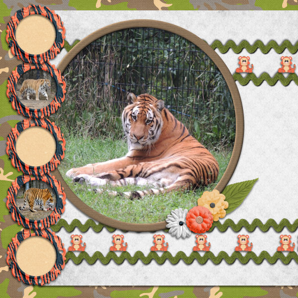 Tigers oh my