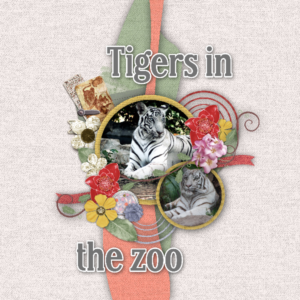 Tigers2