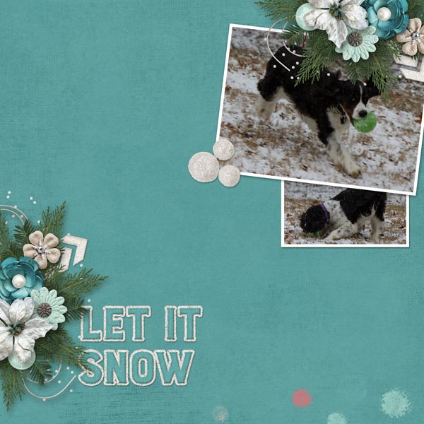 Tigger in the Snow