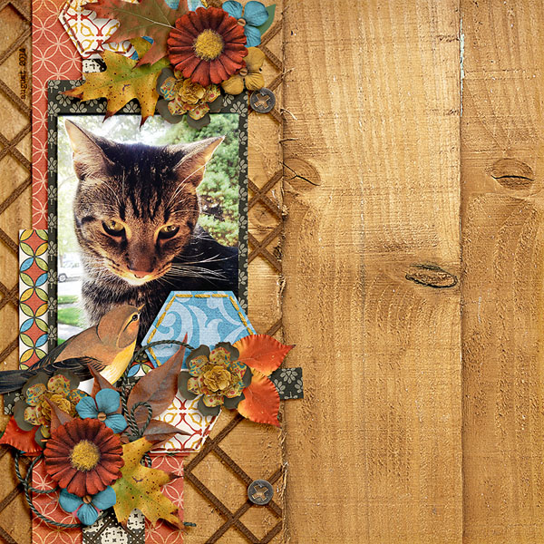 tigger