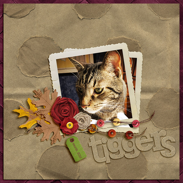 tiggers