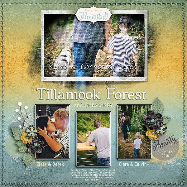Tillamook Forest, OR