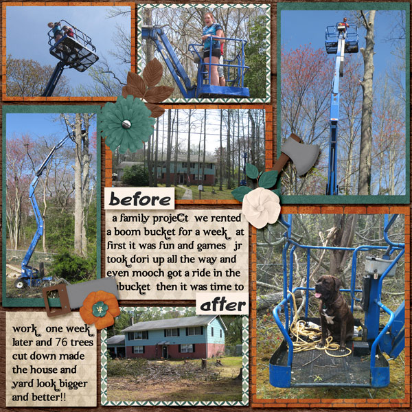 Timber page 2