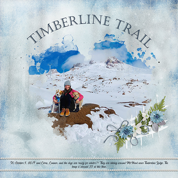 Timberline Trail