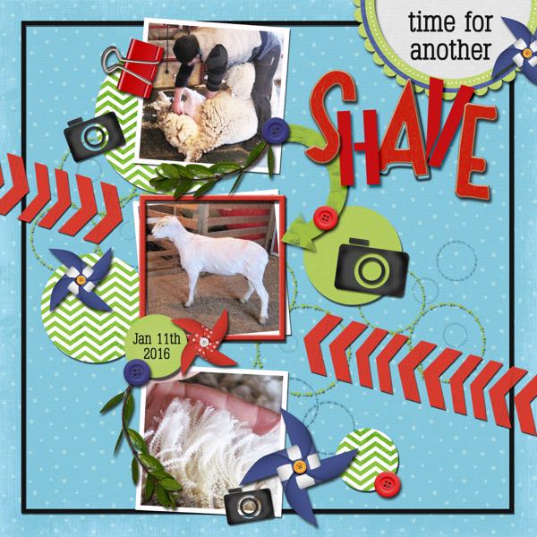 Time for a Shave