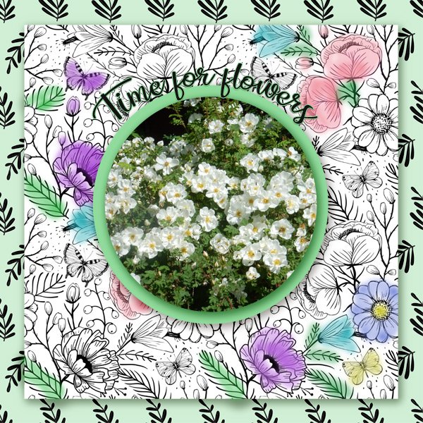 Time-for-flowers.jpg