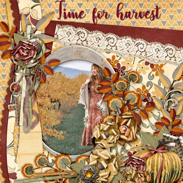 Time-for-harvest
