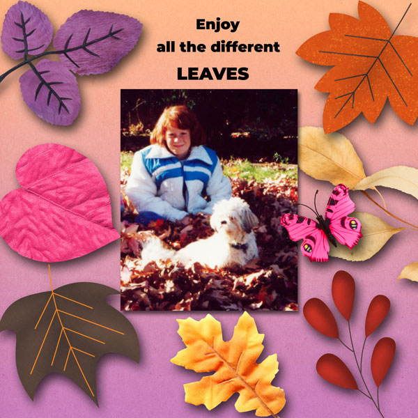 Time for Leaves