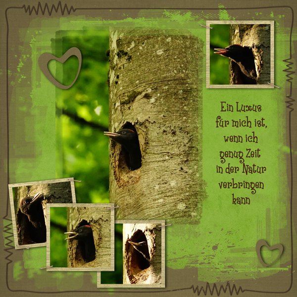 time for nature