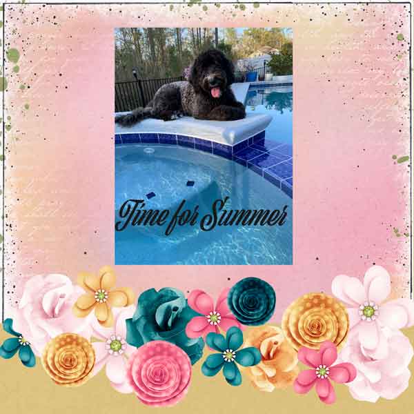 Time for Summer