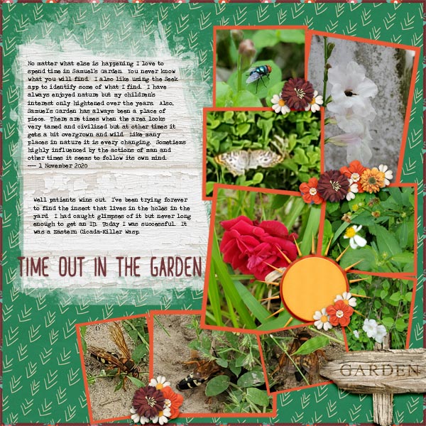 Time Out in the Garden