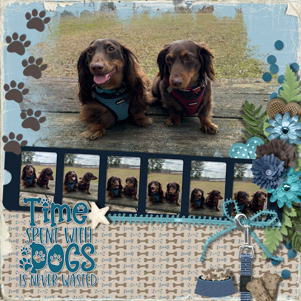 Time Spent With Dogs
