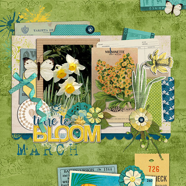 time to bloom