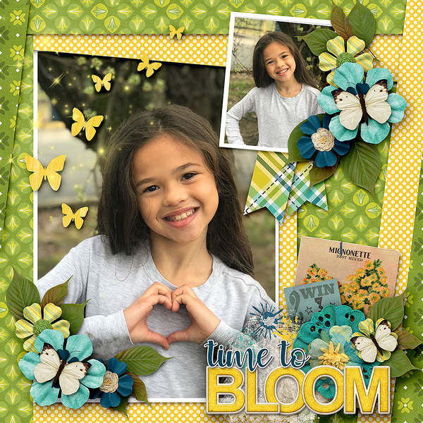 Time To Bloom