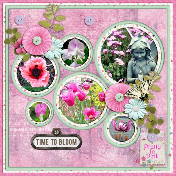 Time to Bloom