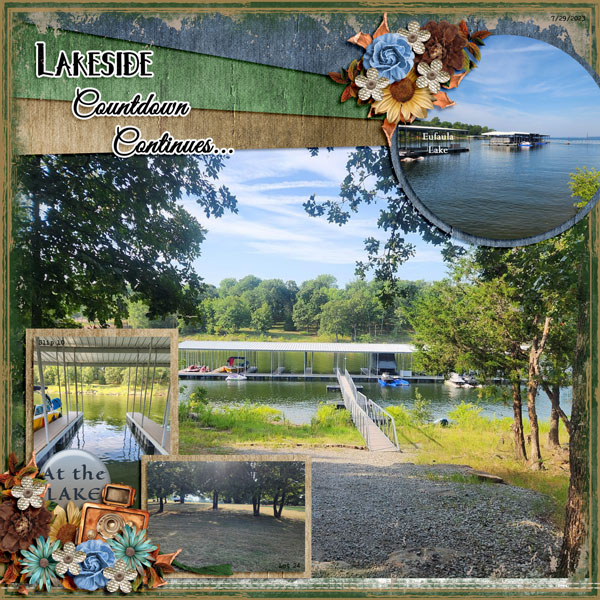 Time to mow the lake lot again...4 years to go 7.29.2023