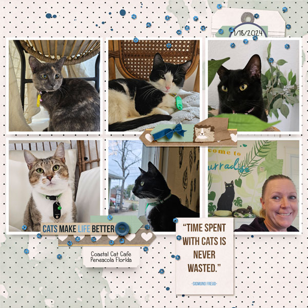 Time with Cats