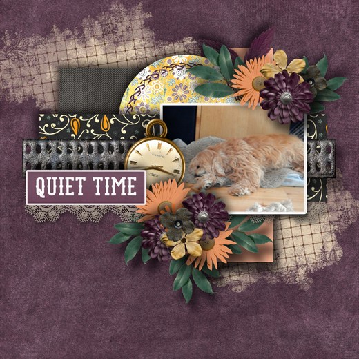 Time_for_a_nap