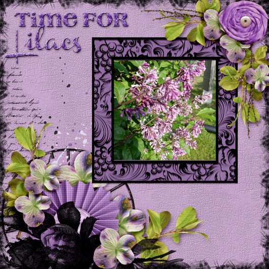 Time_for_lilacs