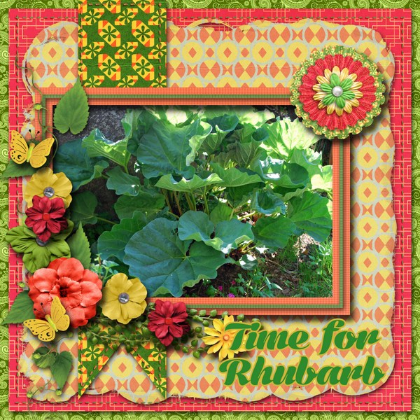 Time_for_Rhubarb