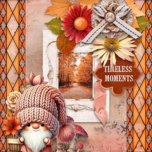 Timeless Moments