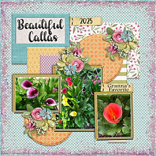 Tinci_2025JUNTC_2_spring flowers 2025_web.jpg