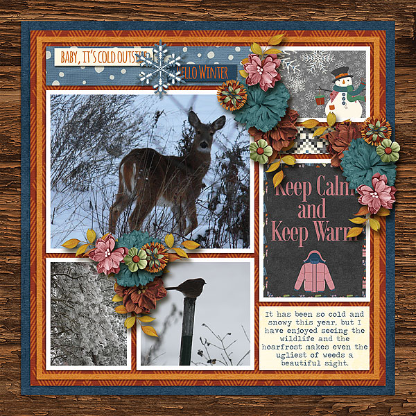 Tinci_CM4_jocee_winterswarmth_robin_web