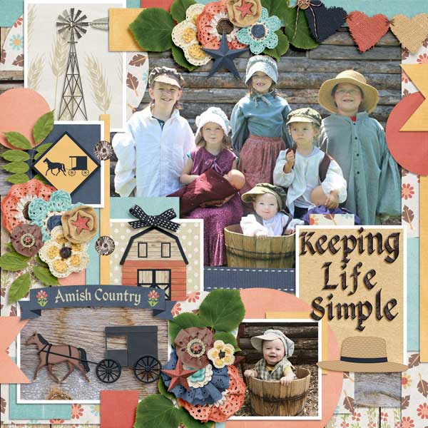 Tinci_DBD9_2-and-Amish-Country