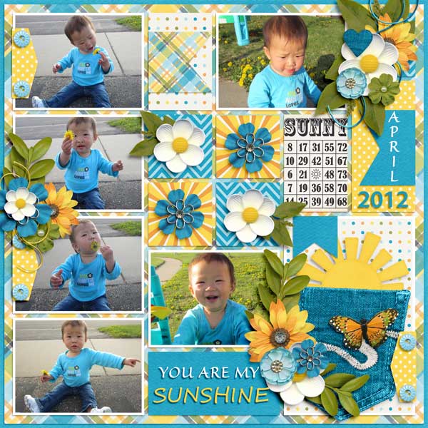 Tinci_MLIP13_4-and-Sunshine-in-My-Pocket
