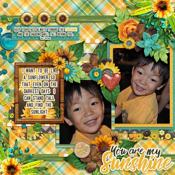 Tinci_OHM3_1-and-Sunflowers