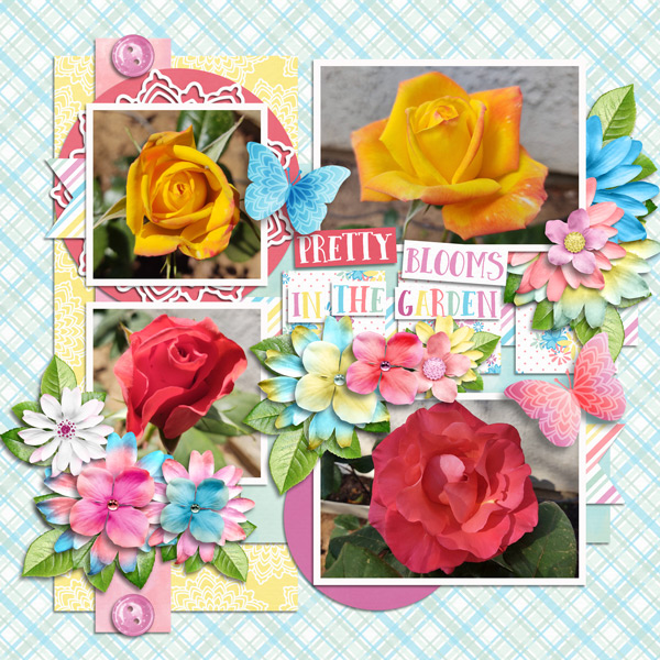 Tinci_SC5_3_LJD_ITG