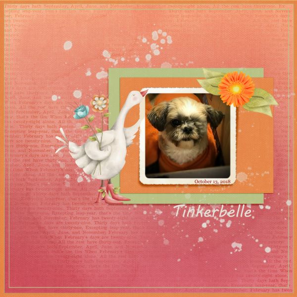 Tinkerbelle Oct 2018