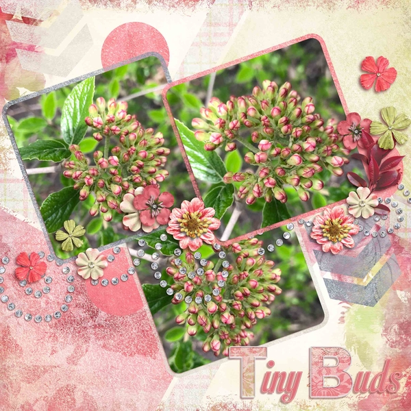 Tiny Buds