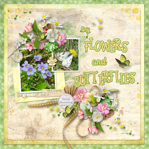 tiny flowers and butterflies