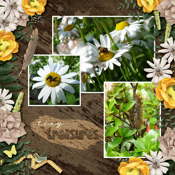 Tiny Treasures