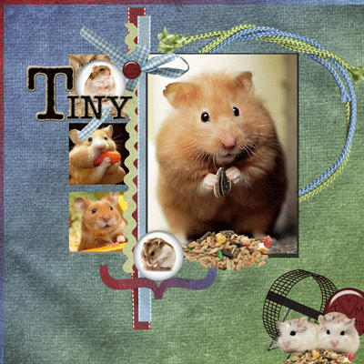 Tiny