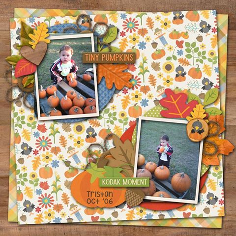 Tiny_Pumpkins