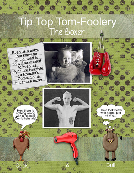Tip Top Tom-Foolery - The Boxer