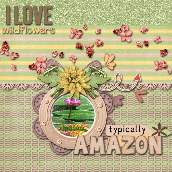 Tipically Amazon