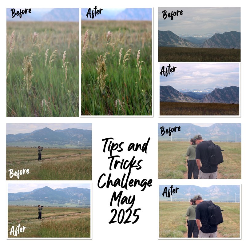 Tips and Tricks - adjustment layer before and after