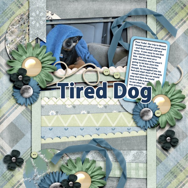 Tired Dog