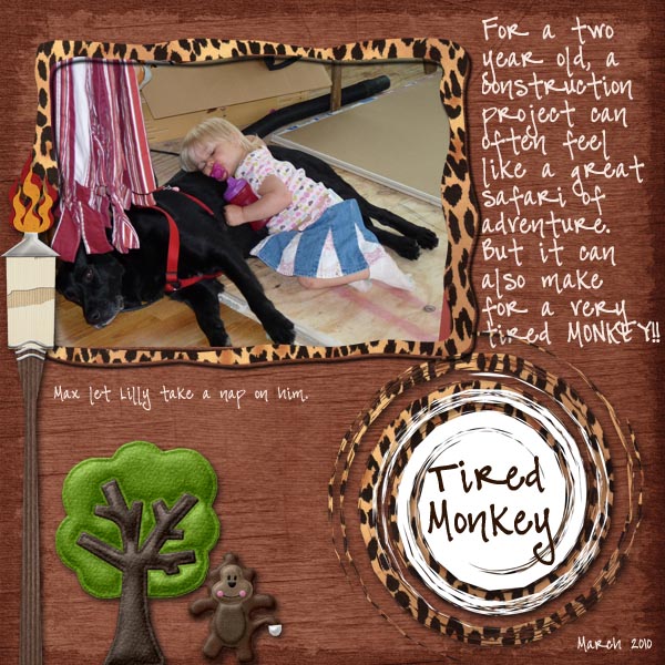 Tired Monkey